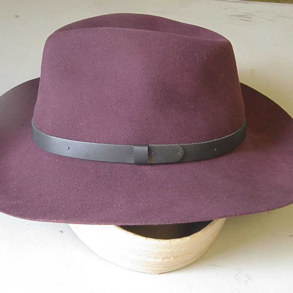 New Pantropic Fedora,Large